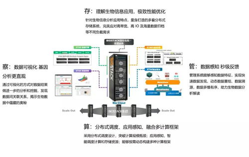 生物信息分析系統中的軟件堆砌與硬件依賴及其在生物質能資源數據庫信息系統中的應用